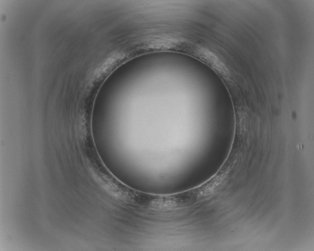 X0000074930354200609011056