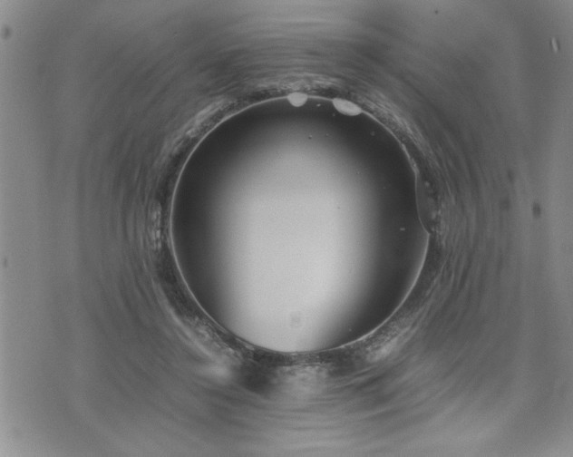 X0000074930356200609011056