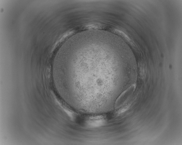 X0000074930357200609011056