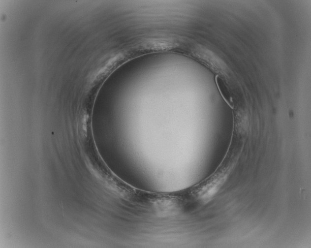 X0000074930358200609011056