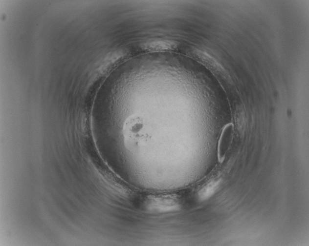 X0000074930359200609011056