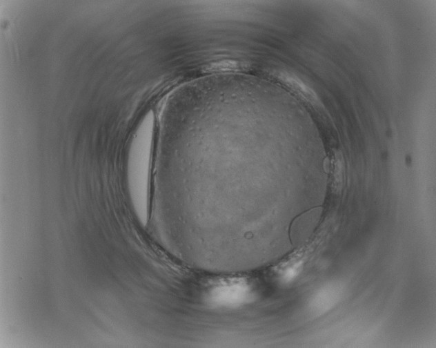 X0000074930361200609011056