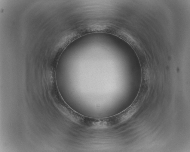 X0000074930362200609011056