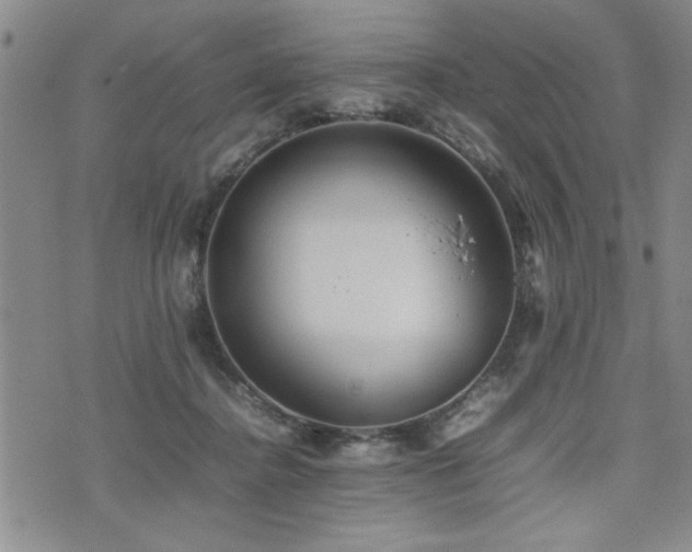 X0000074930364200609011056