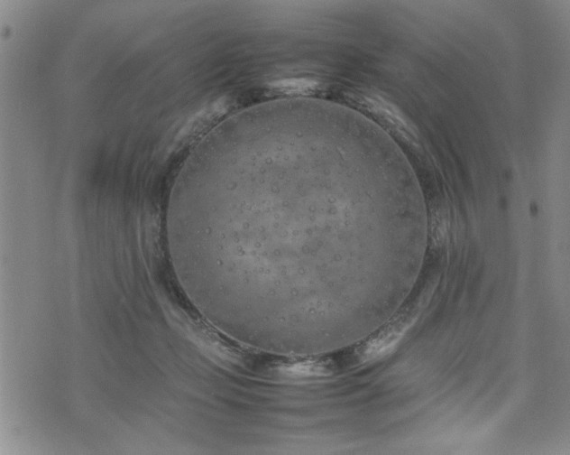 X0000074930365200609011056