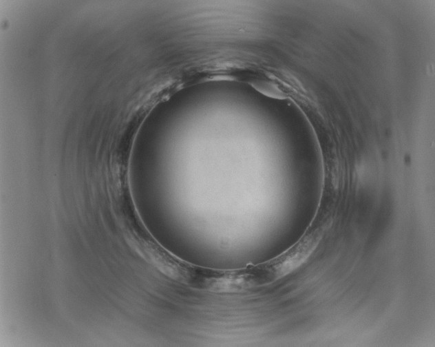 X0000074930366200609011056