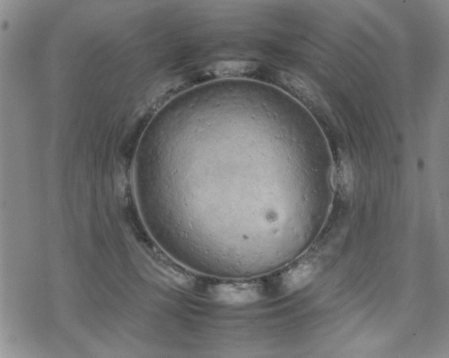 X0000074930367200609011056