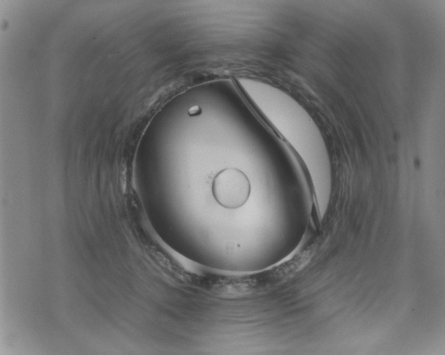 X0000074930368200609011056