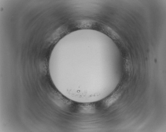 X0000074930370200609011056