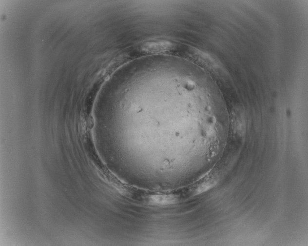 X0000074930371200609011056