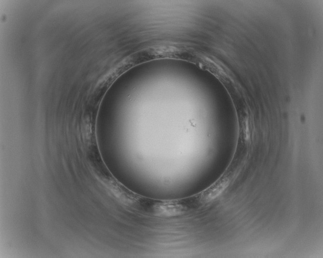 X0000074930372200609011056