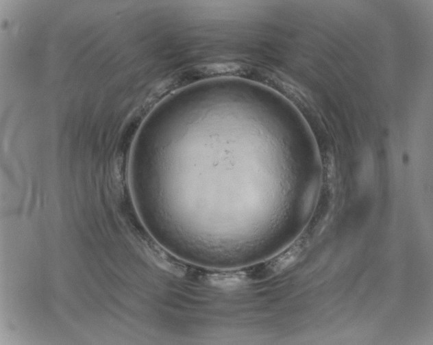 X0000074930373200609011056