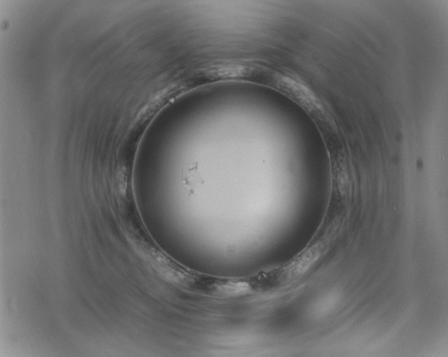 X0000074930374200609011056