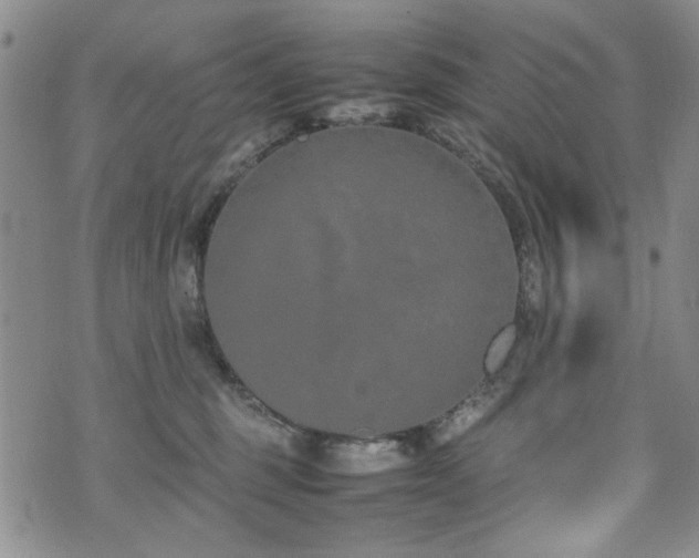 X0000074930375200609011056