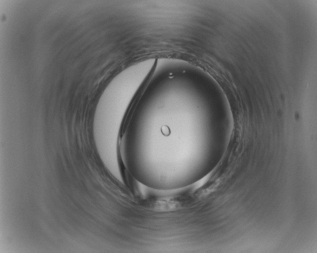 X0000074930376200609011056