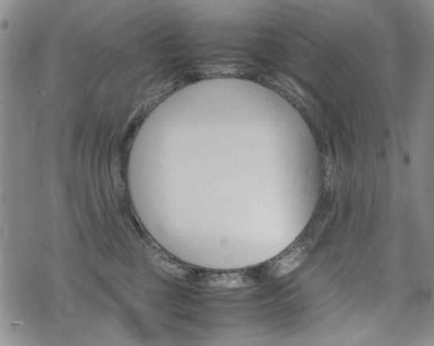 X0000074930377200609011056