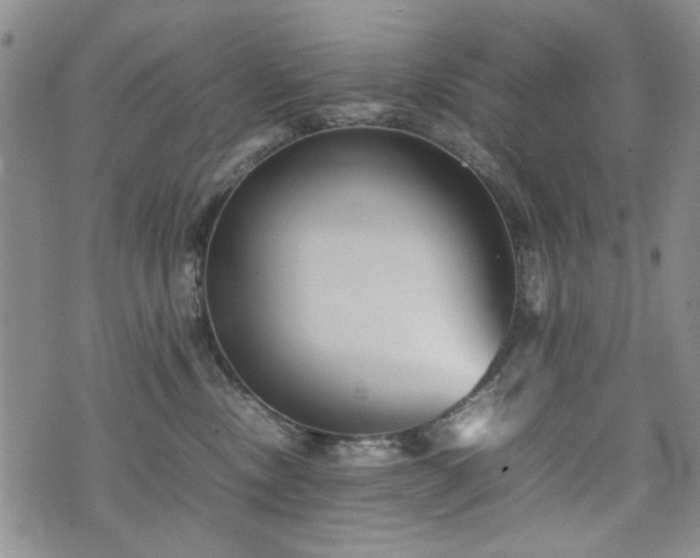 X0000074930378200609011057