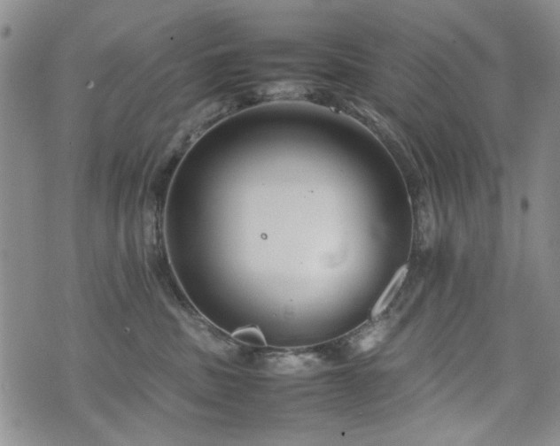 X0000074930379200609011057