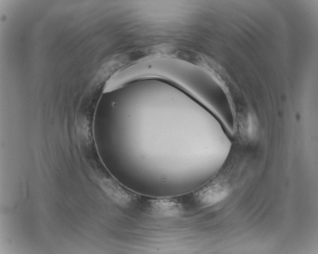 X0000074930380200609011057