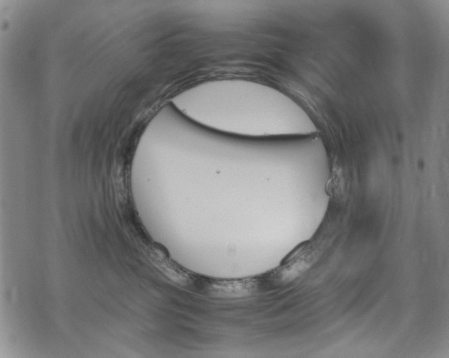 X0000074930381200609011057