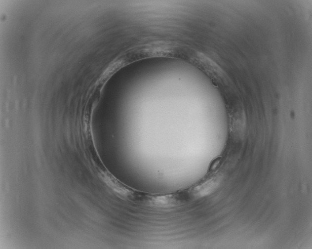 X0000074930382200609011057