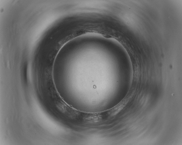 X0000074930383200609011057