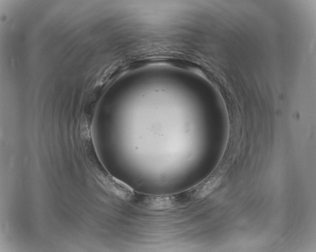 X0000074930384200609011057