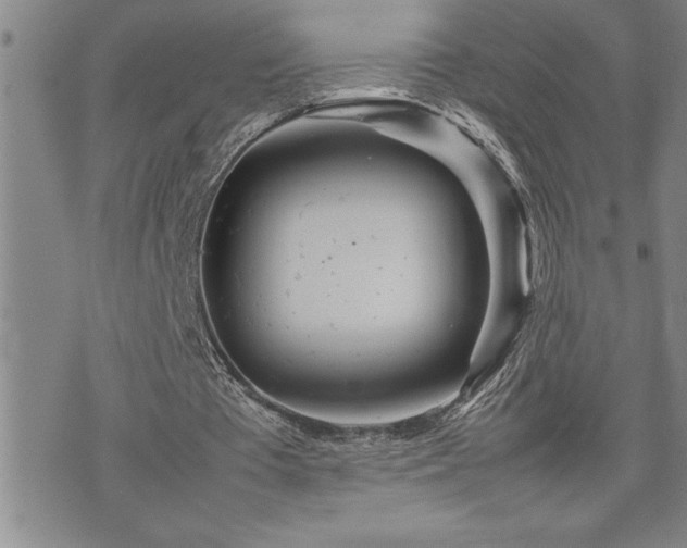 X0000074930385200609011056