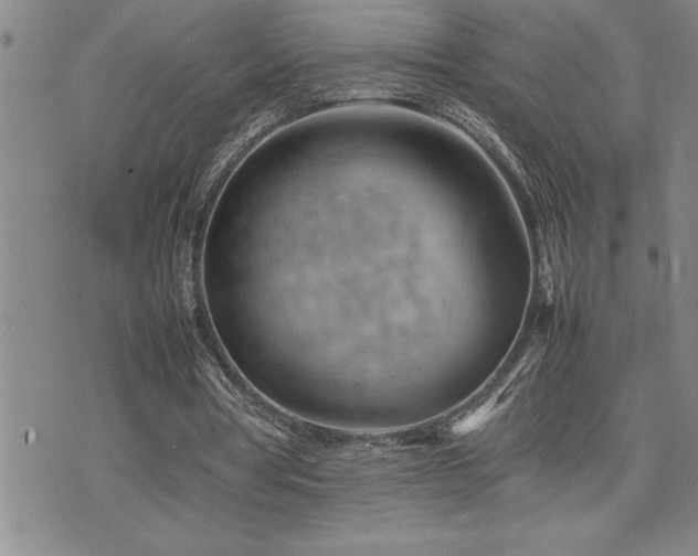 X0000074930386200609011056