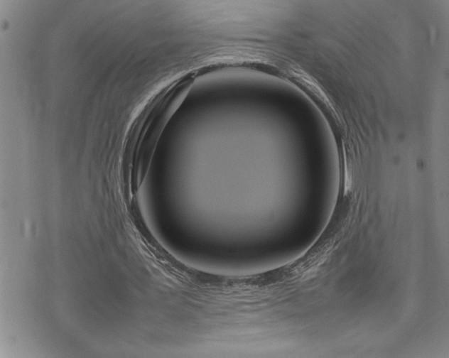 X0000074930387200609011056