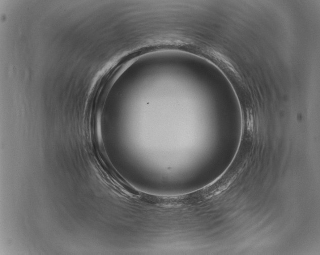 X0000074930388200609011056