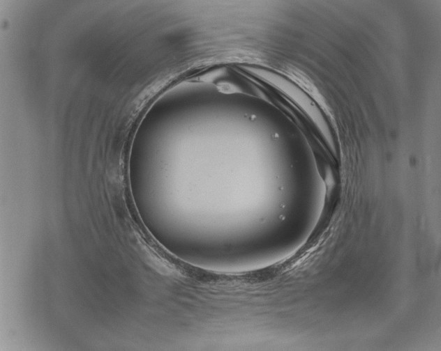 X0000074930389200609011056