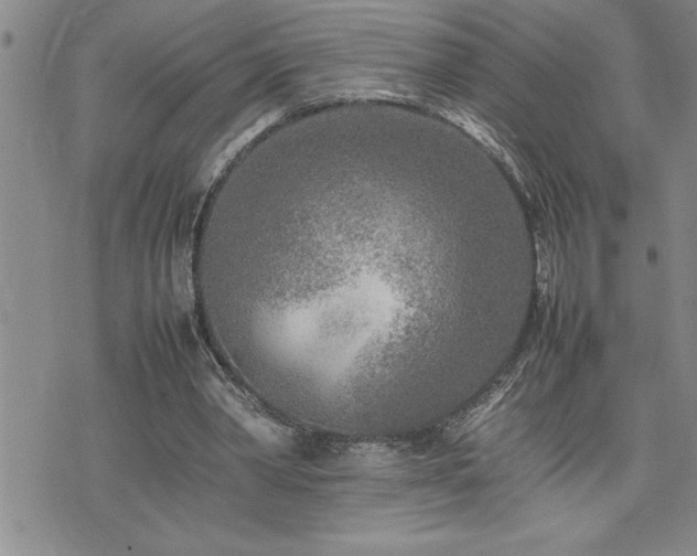 X0000074930390200609011056