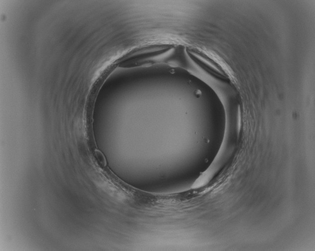 X0000074930391200609011056