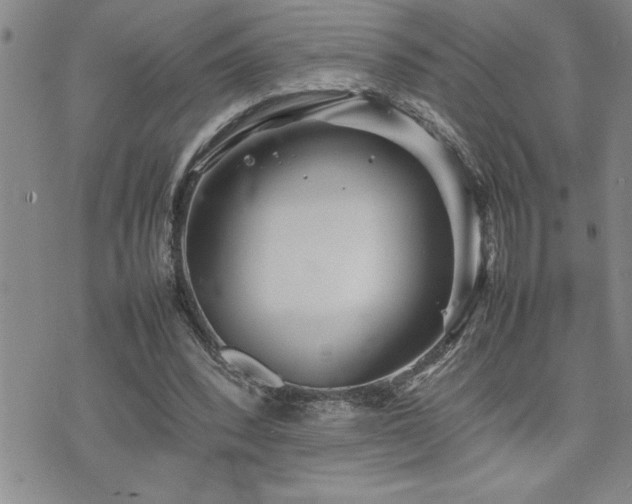 X0000074930392200609011056