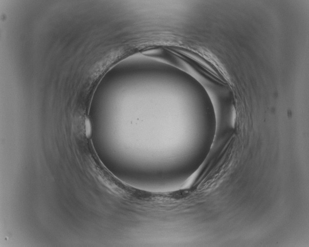 X0000074930393200609011056