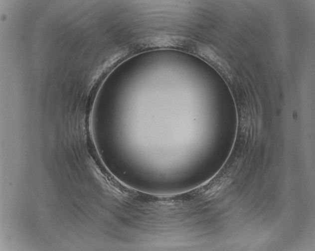 X0000074930394200609011056