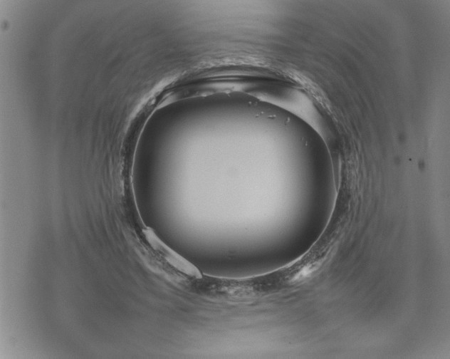 X0000074930395200609011056