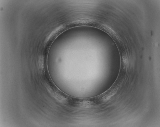 X0000074930396200609011056