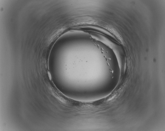 X0000074930397200609011056