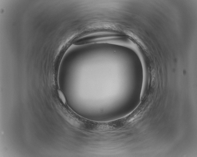 X0000074930399200609011056