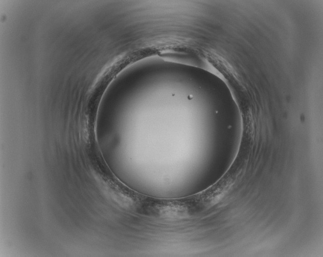 X0000074930400200609011056