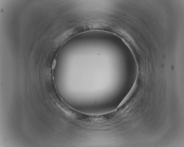 X0000074930401200609011056