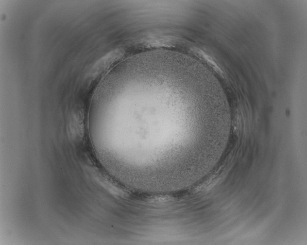 X0000074930402200609011056