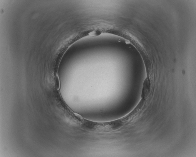 X0000074930403200609011056