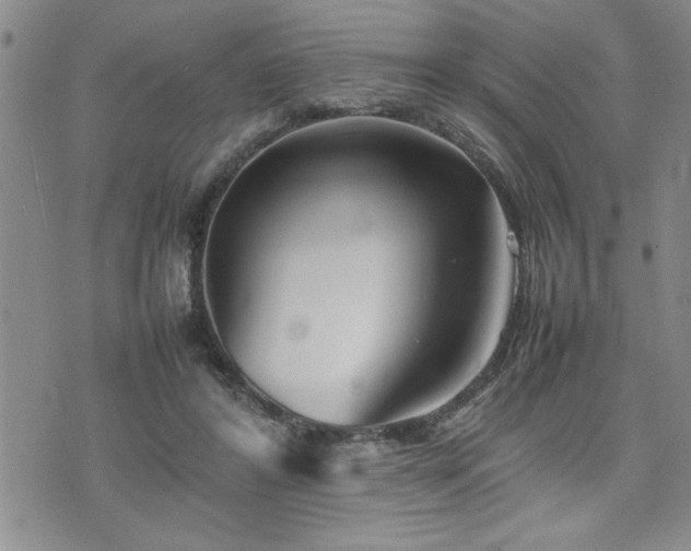 X0000074930404200609011056