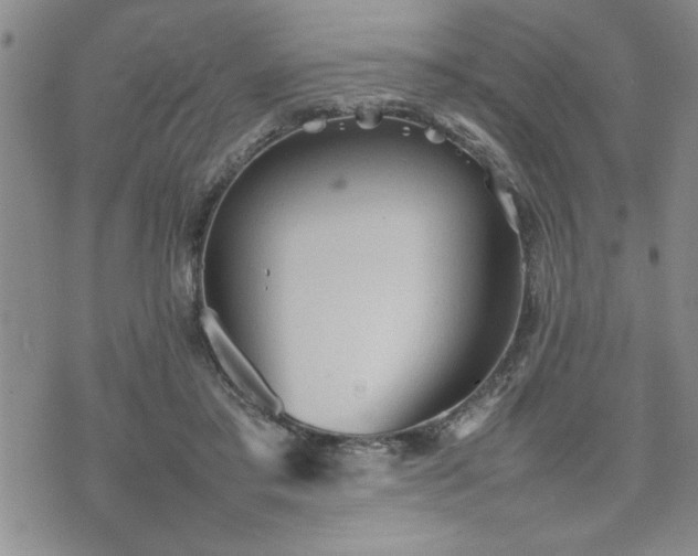 X0000074930405200609011056