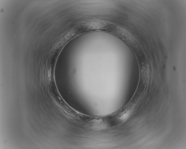 X0000074930406200609011055