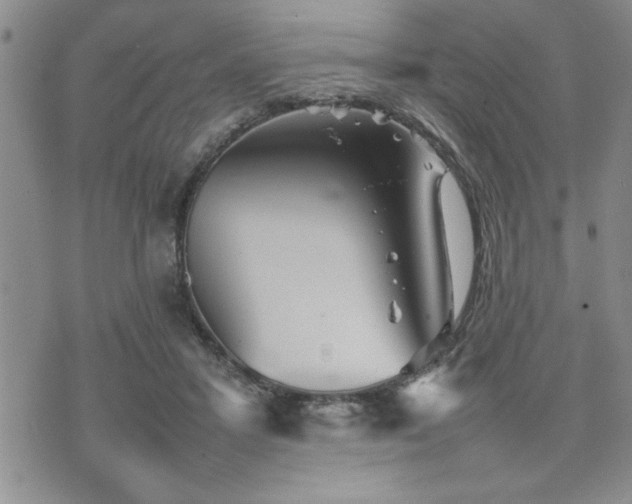 X0000074930407200609011055