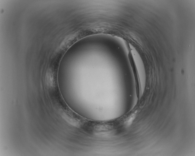 X0000074930408200609011055